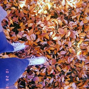 Meet your Posher, Annalynn